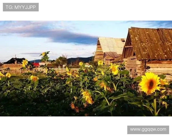 探索埃斯特旺的魅力与历史深度领略这座城市的独特风情与文化底蕴