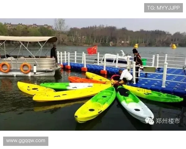 西安羽毛球队的节奏探秘与巨献之旅全景揭秘 西安羽毛球队的节奏探秘与巨献之旅全景揭秘